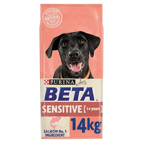 Beta Sensitive Adult Salmon Dry Dog Food