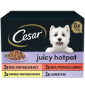 Cesar Juicy Hotpot Adult Wet Dog Food