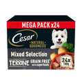 César Natural Goodness Grain Free Mix Terrine Tray