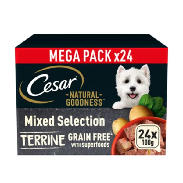 César Natural Goodness Grain Free Mix Terrine Tray