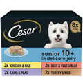 César Senior Variety Pack in Jelly