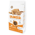 IAMS Adult Cat Fresh Chicken Dry Cat Food