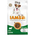 IAMS Small & Medium Breed with Lamb Dry Dog Food
