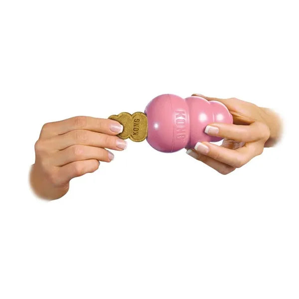 KONG Puppy Treats
