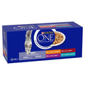 Purina ONE Adult Mini Fillets Multipack with Gravy Wet Cat Food